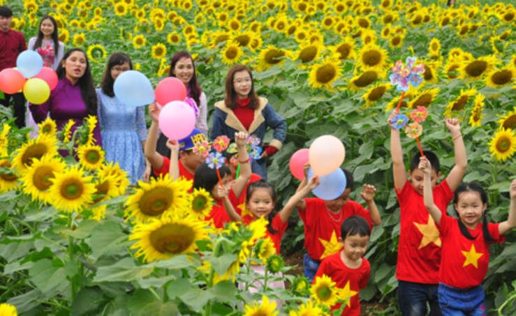 Lễ hội Hoa Hướng Dương